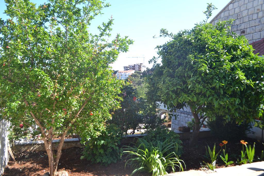 Studio avec Vue sur Jardin