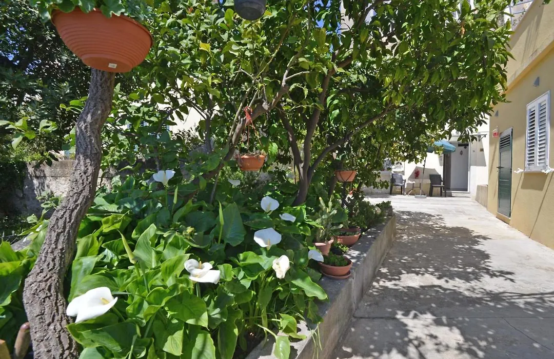 Guesthouse Manda-1