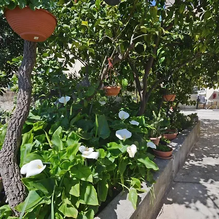 Guesthouse Manda-2
